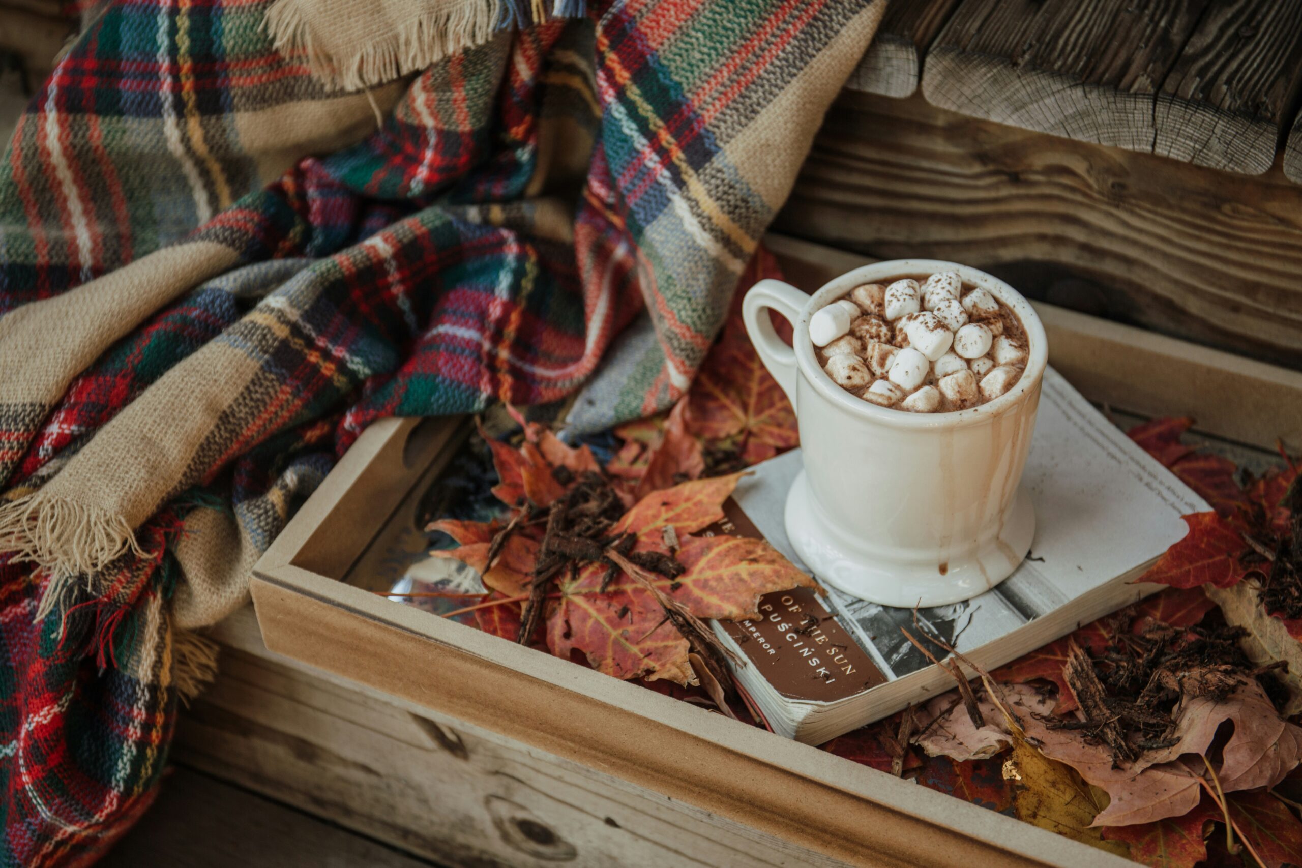 Fall Collection